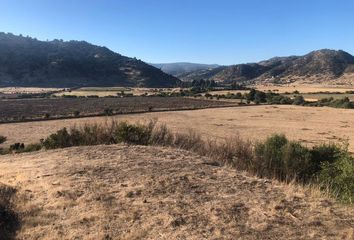 Parcela en  Santa Cruz, Colchagua