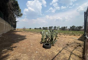 Lote de Terreno en  Santiaguito, Metepec