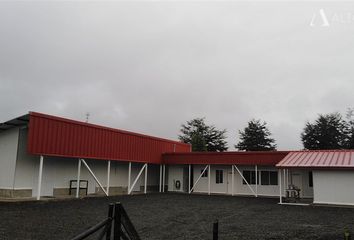 Bodega en  Dalcahue, Chiloé