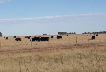 Terrenos en  San Luis Capital, San Luis