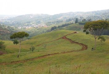 Lote de Terreno en  Prados Del Norte, Cali