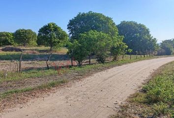 Lote de Terreno en  Tonalá, Chiapas