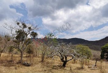 Lote de Terreno en  Cintalapa, Chiapas