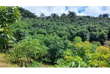 Lote de Terreno en  Santuario, Antioquia