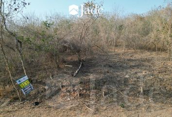 Lote de Terreno en  Carretera Acceso A San Lorenzo, Campeche, 24523, Mex