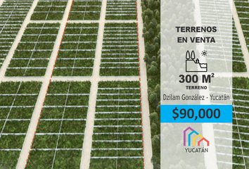 Lote de Terreno en  Dzilam De Bravo, Yucatán