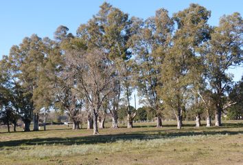 Terrenos en  Parada Robles, Exaltación De La Cruz