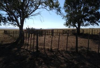 Casa en  Tornquist, Partido De Tornquist