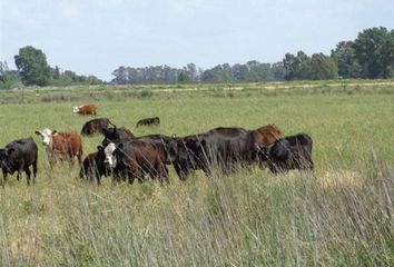 Casa en  Bernasconi, La Pampa