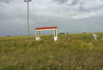 Casa en  Chasicó, Partido De Tornquist