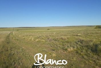 Terrenos en  La Viticola, Partido De Bahía Blanca