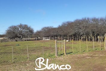 Terrenos en  Winifreda, La Pampa