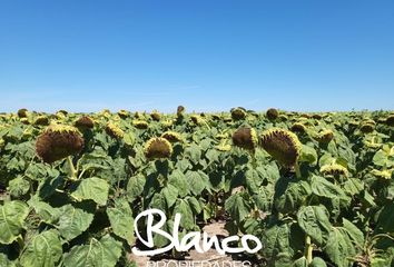 Terrenos en  Juan Jorba, San Luis