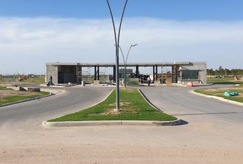 Terrenos en  Bahía Grande, Partido De Tigre