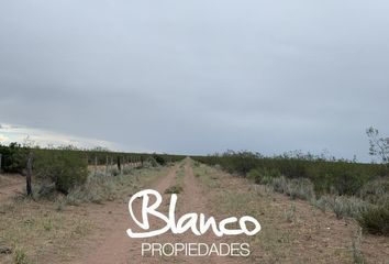 Terrenos en  Santa Isabel, La Pampa