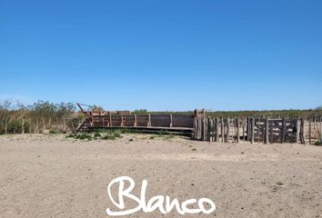 Terrenos en  Veinticinco De Mayo, La Pampa