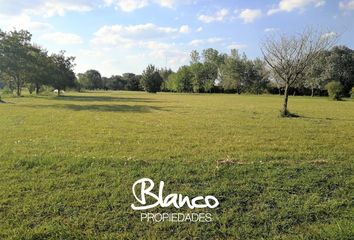 Terrenos en  La Ranita, Partido De Luján