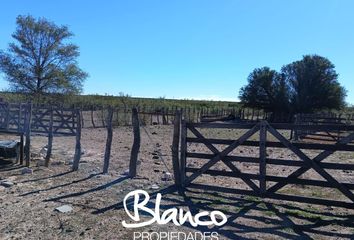 Terrenos en  Santa Rosa, La Pampa