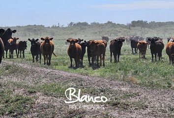 Terrenos en  La Humada, La Pampa