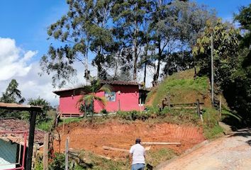 Lote de Terreno en  Guatapé, Antioquia