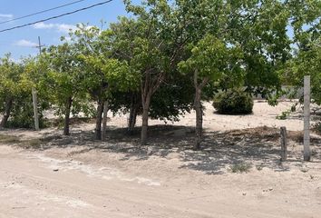 Lote de Terreno en  Telchac Pueblo, Yucatán