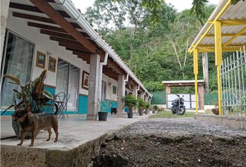 Casa en  Bolívar, Antioquia