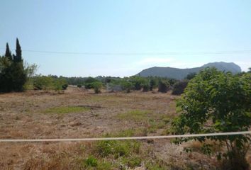 Terreno en  Pilar De La Horadada, Alicante Provincia