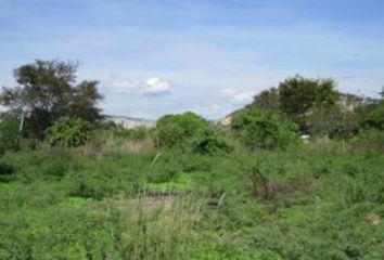 Lote de Terreno en  Pueblo Alpuyeca, Xochitepec, Morelos