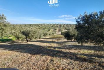 Terreno en  Fuerte Del Rey, Jaén Provincia