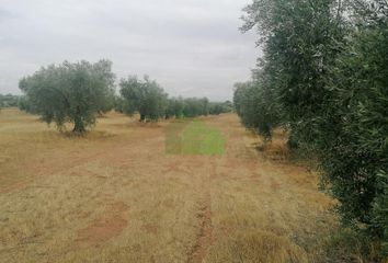 Terreno en  Montijo, Badajoz Provincia