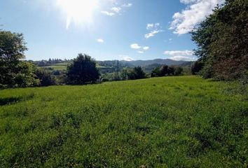 Terreno en  Viella, Asturias