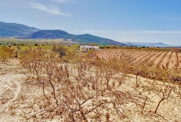 Terreno en  Laujar De Andarax, Almería Provincia
