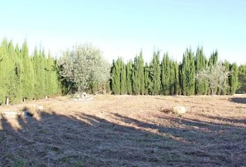 Terreno en  Pego, Alicante Provincia