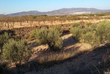 Terreno en  Castalla, Alicante Provincia