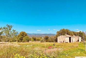 Terreno en  Llevant, Palma De Mallorca