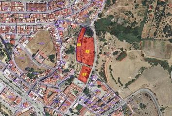 Terreno en  Benalup-casas Viejas, Cádiz Provincia