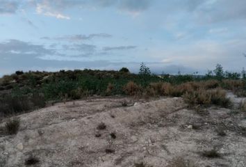 Terreno en  Campos Del Rio, Murcia Provincia