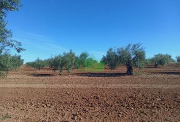 Terreno en  Corte De Peleas, Badajoz Provincia