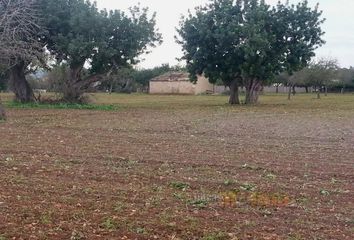 Terreno en  Llevant, Palma De Mallorca