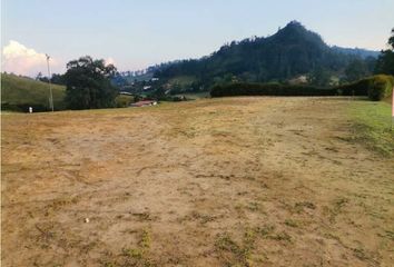 Lote de Terreno en  Guatica, Risaralda