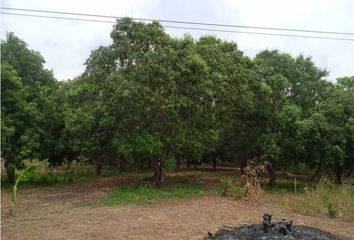 Lote de Terreno en  Zona Bananera, Magdalena