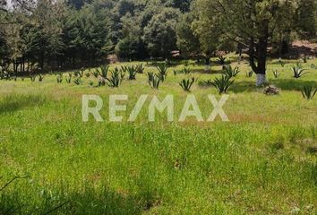 Rancho en  Lomas Del Pedregal Framboyanes, Tlalpan, Cdmx