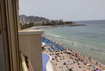 Piso en  Benidorm, Alicante Provincia