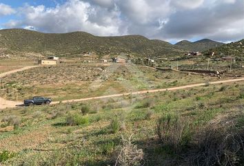 Parcela en  La Serena, Elqui