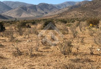 Parcela en  Andacollo, Elqui