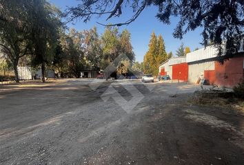 Bodega en  Colina, Chacabuco