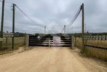 Parcela en  Litueche, Cardenal Caro