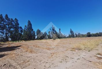 Bodega en  Talagante, Talagante