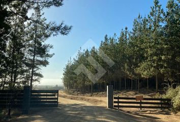 Parcela en  Pichilemu, Cardenal Caro