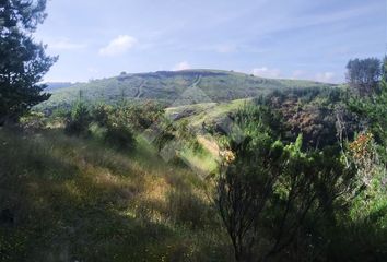 Parcela en  Pichilemu, Cardenal Caro